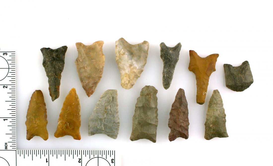 12 Nice Early Archaic Points - Daltons etc. (1 of 1)