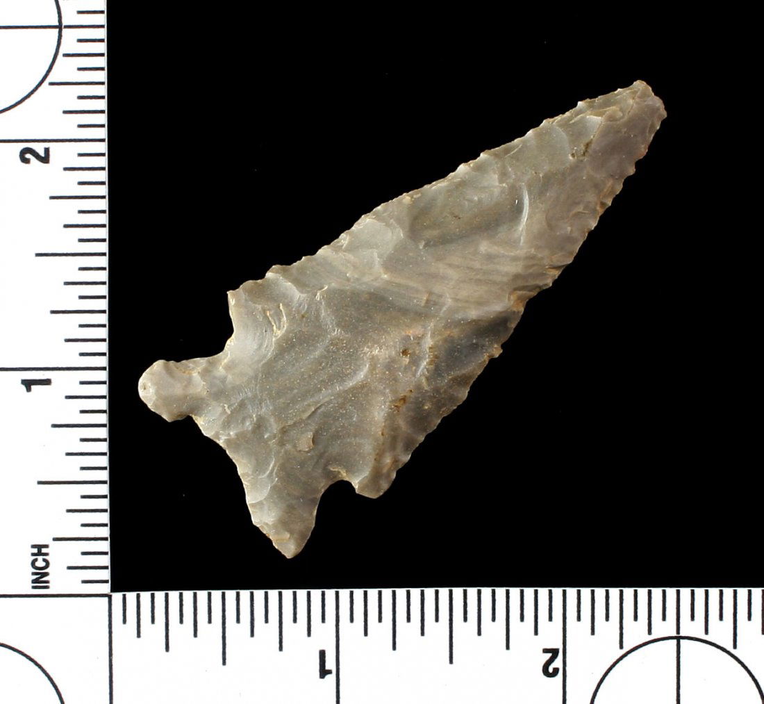 2 9/16" Stilwell (1 of 2)