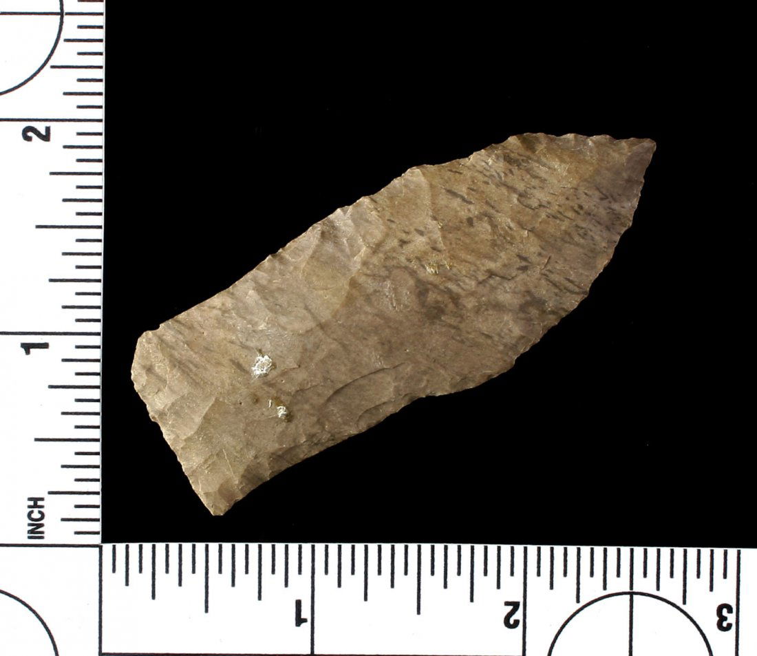 2 11/16" Copena (1 of 2)