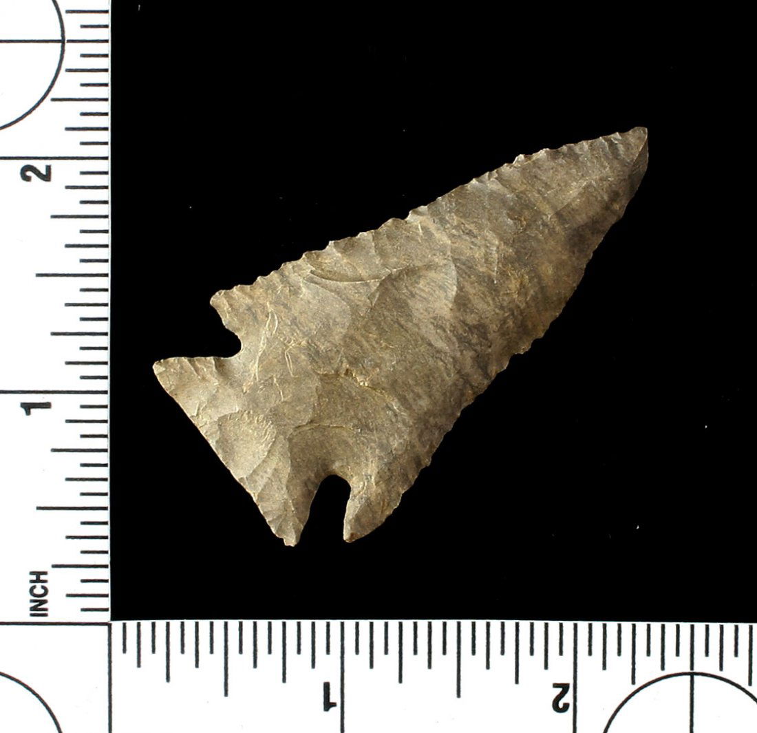 2 5/16" Pinetree (1 of 2)