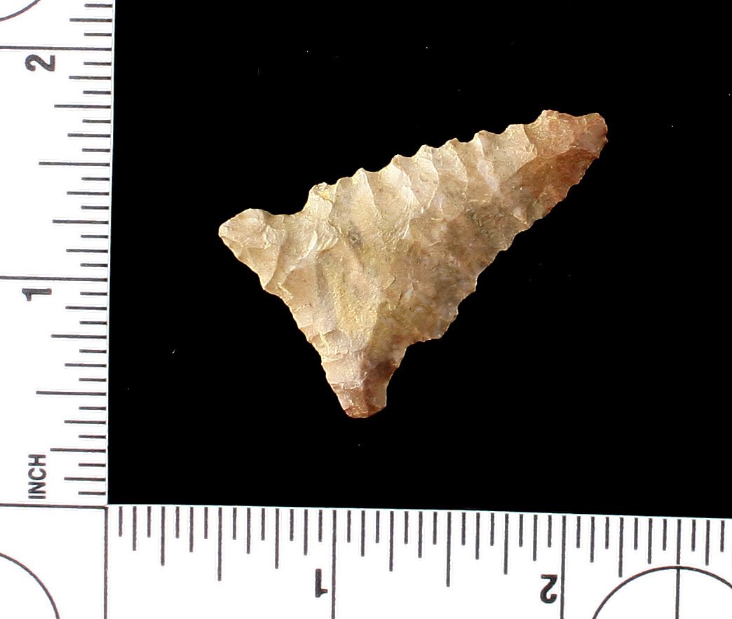 1 5/8" Pinetree: Fort Payne chert example from Central Tennessee. Ex - Griffin Collection.