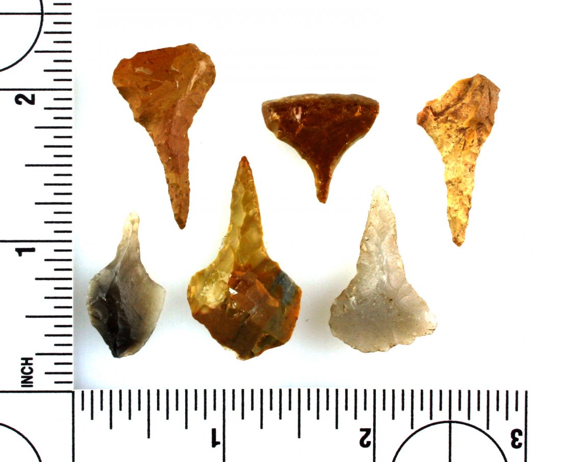 6 Nice Small Drills/Perforators (1 of 1)