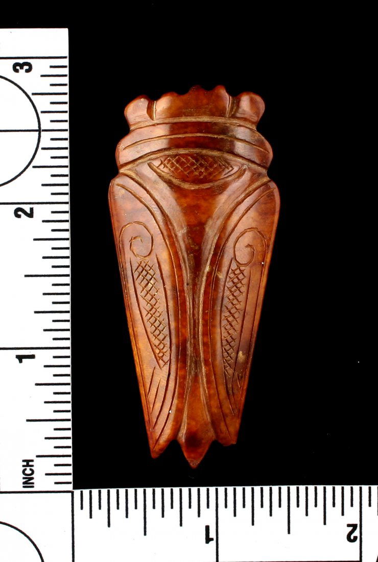 2 5/8" Chinese Carved Cicada (1 of 3)