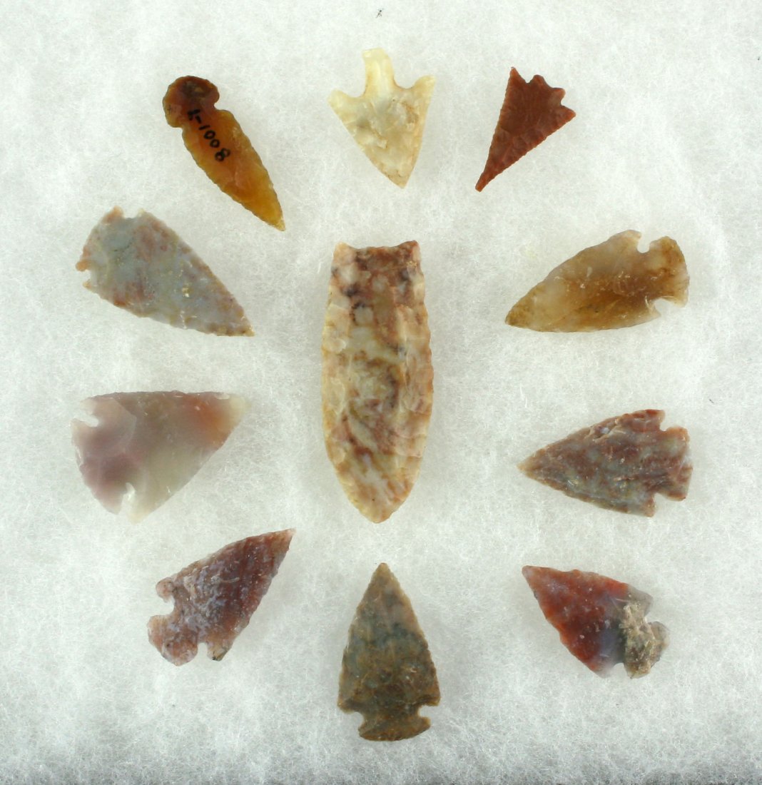 Reproduction Folsom with 10 New Arrowheads (1 of 1)