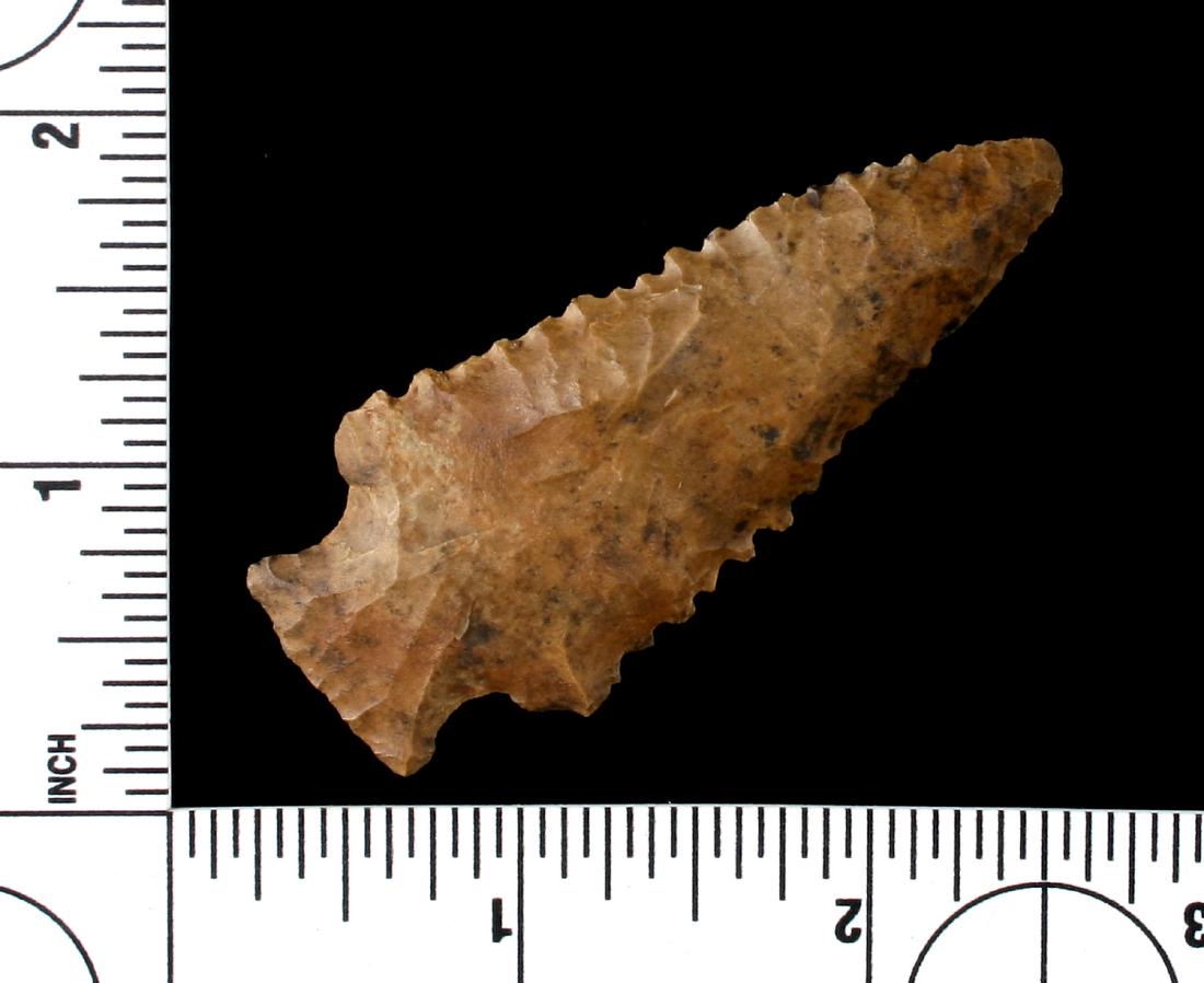 2 5/8" Kirk (1 of 2)