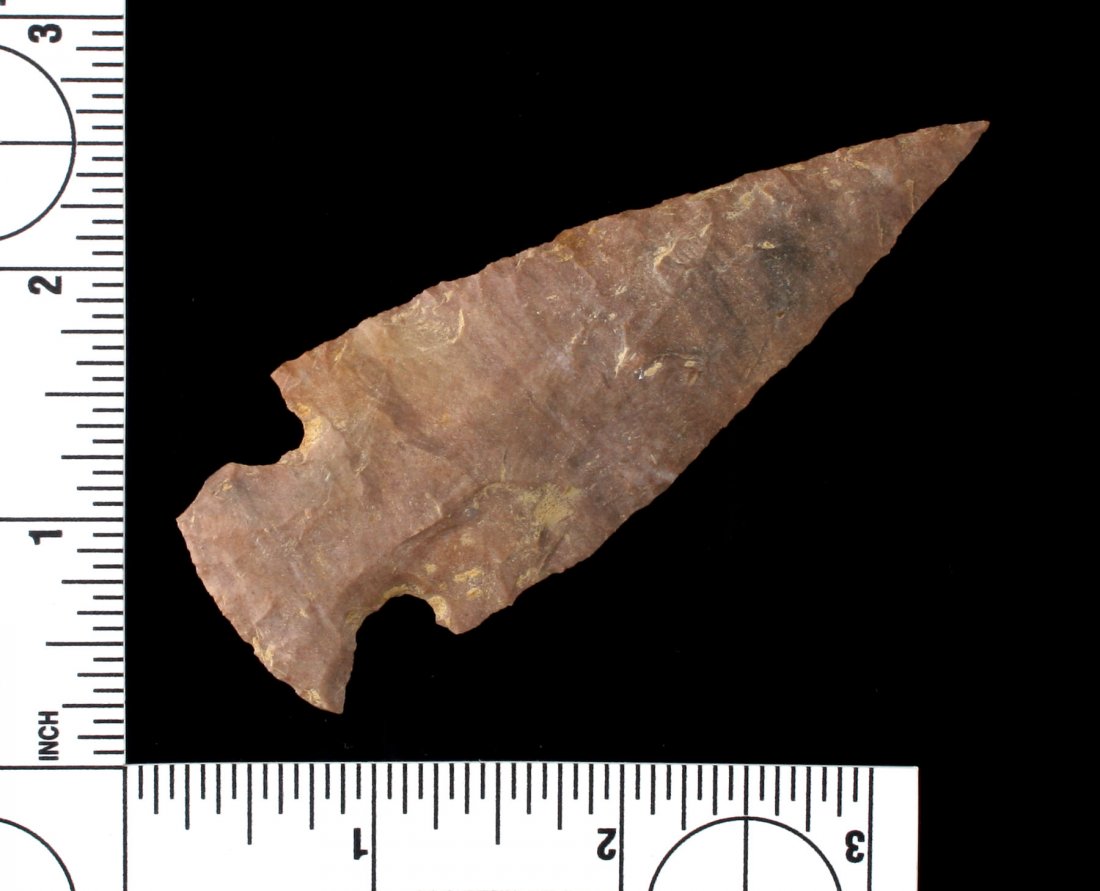 3 5/8" Motley (1 of 2)