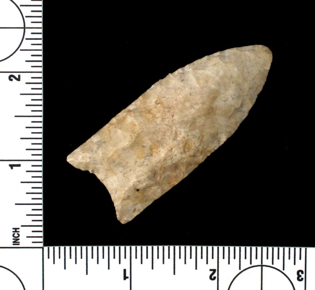 Excellent Indiana Clovis - Putty G-9 COA (1 of 3)