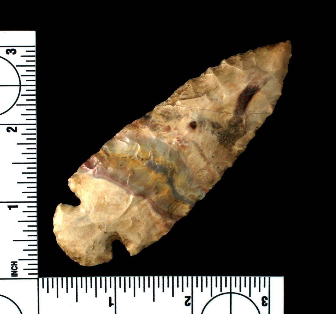 Killer 4" Flint Ridge Dovetail - Jackson G-9 COA (1 of 3)