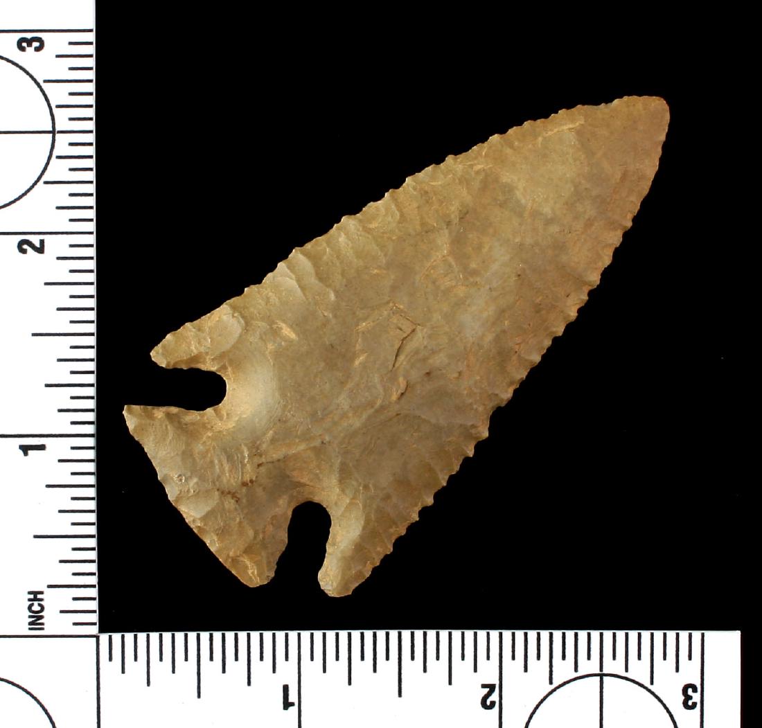 3 1/8" Lost Lake (1 of 2)