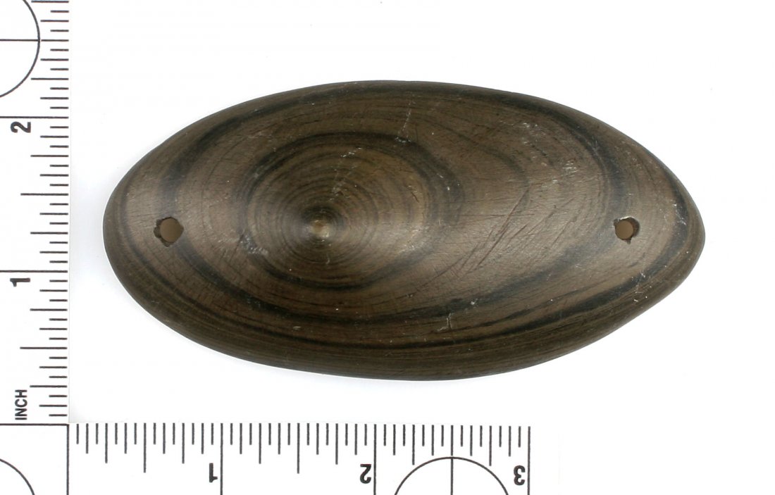 3 15/16" Spineback Gorget (1 of 4)