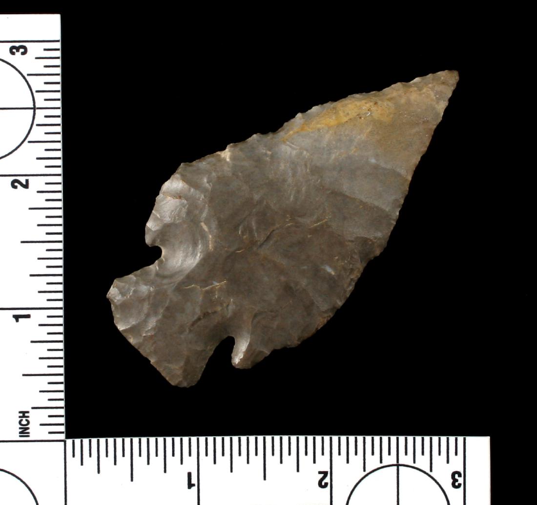 3 1/8" Lost Lake (1 of 2)