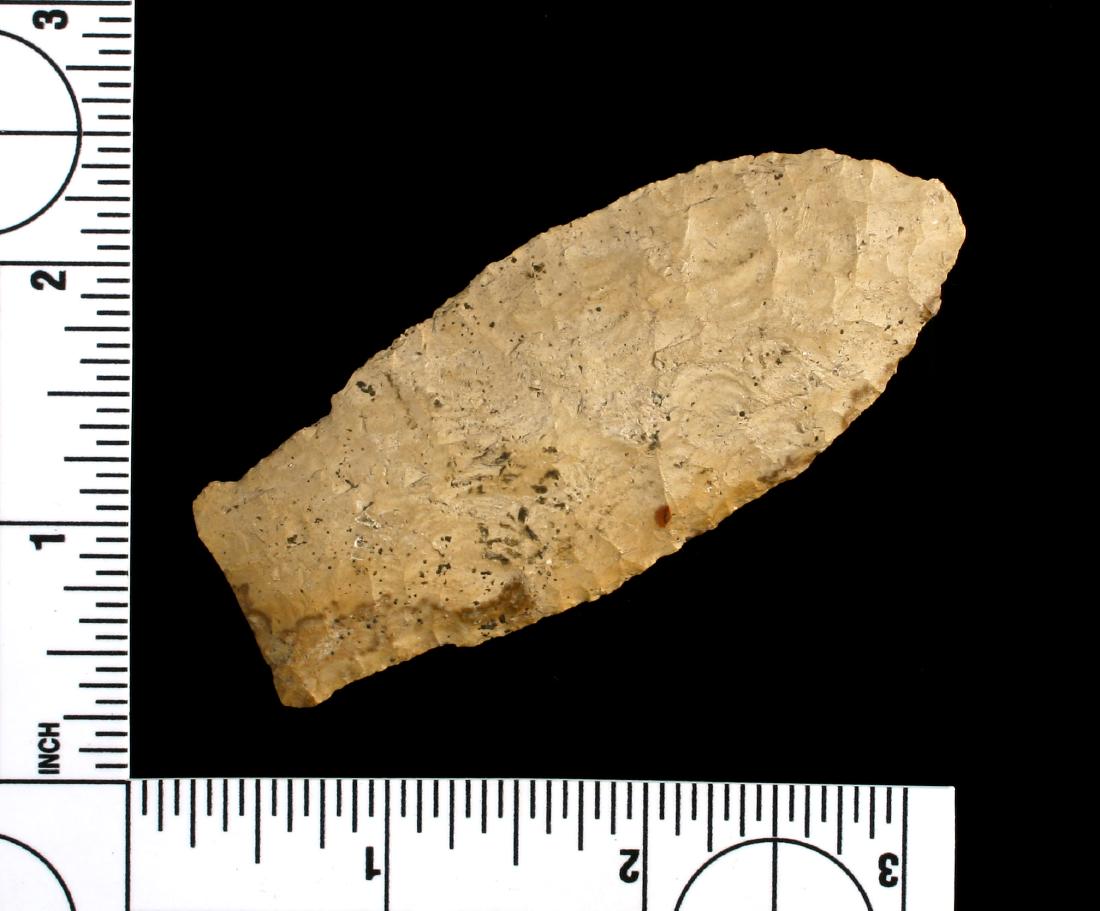 3 1/8" Scottsbluff/eared Eden - Jackson COA (1 of 3)