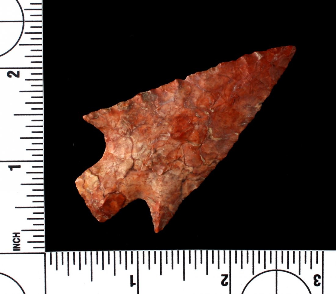 Colorful 2 13/16" Pickwick (Newnan?) - Putty COA (1 of 3)