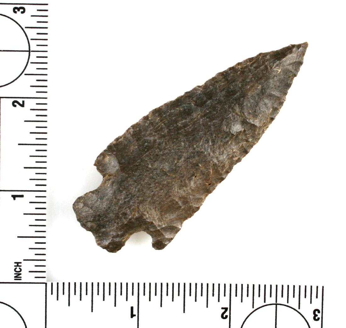 3 3/16" Stemmed Knife: Fossil chert example. Dickson Co., Tennessee. Ex - Howard Griffin Collection.