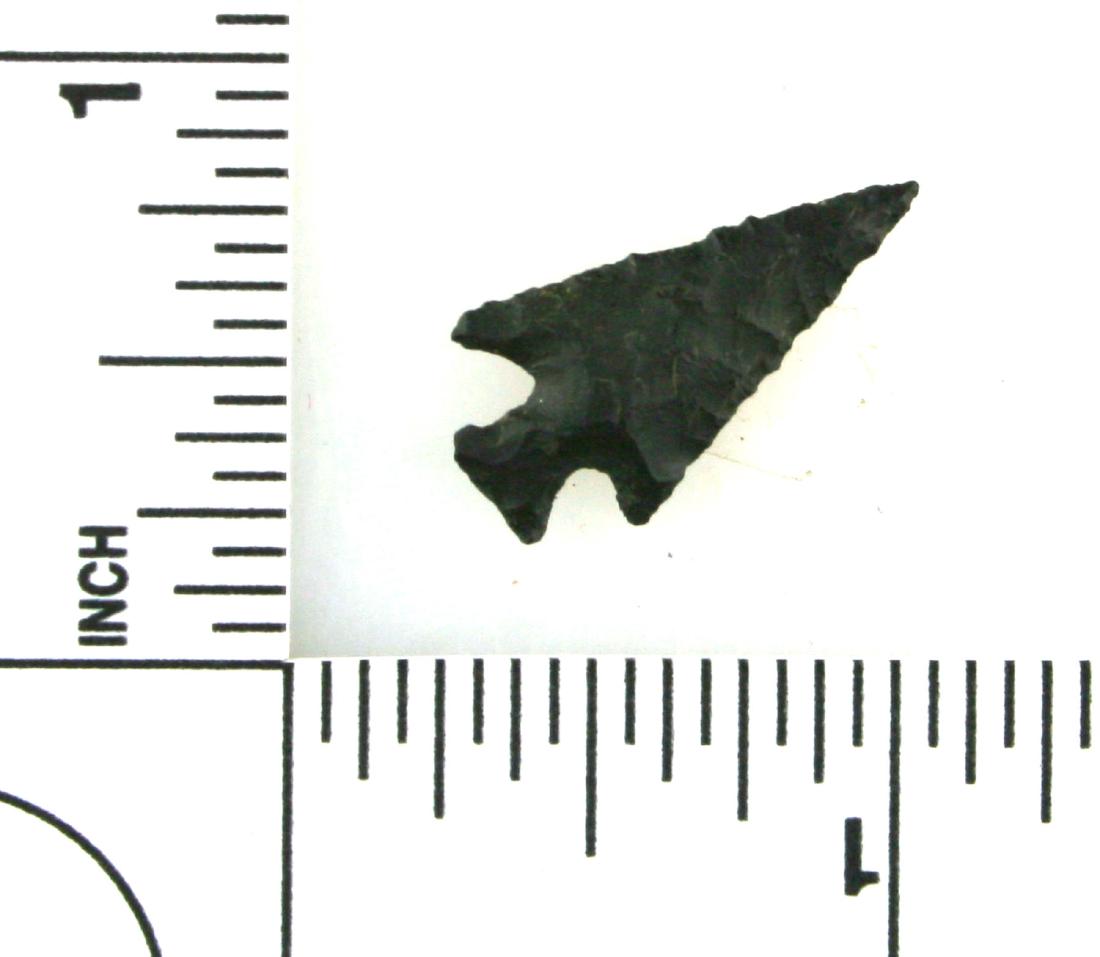 7/8" Edwards: Nice black chert example from Oklahoma. All there and in perfect condition.