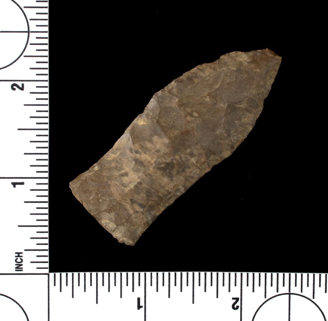 2 9/16" Pickwick: Camden Chert. Fine edgework. Dickson Co., Tennessee. Ex - Howard Griffin Collection.