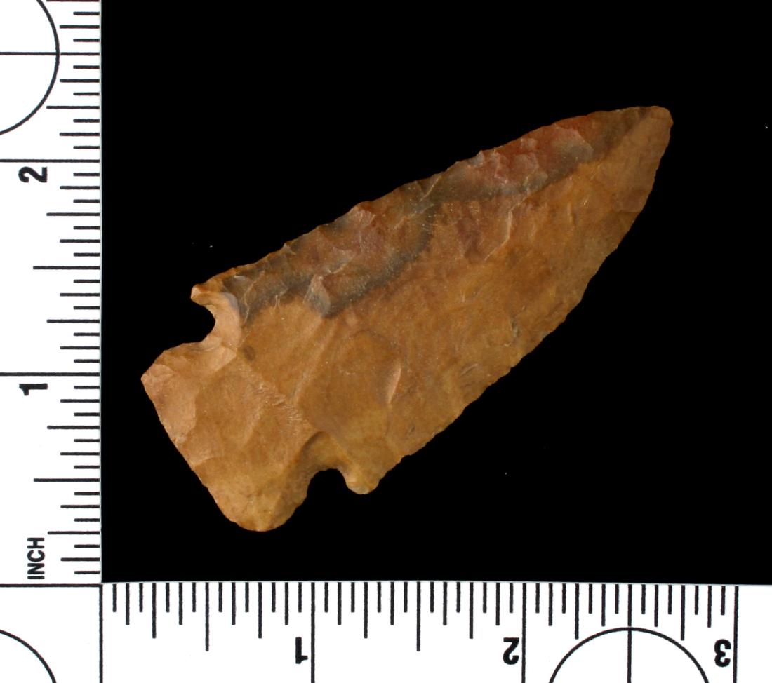 2 13/16" Big Slough (1 of 2)