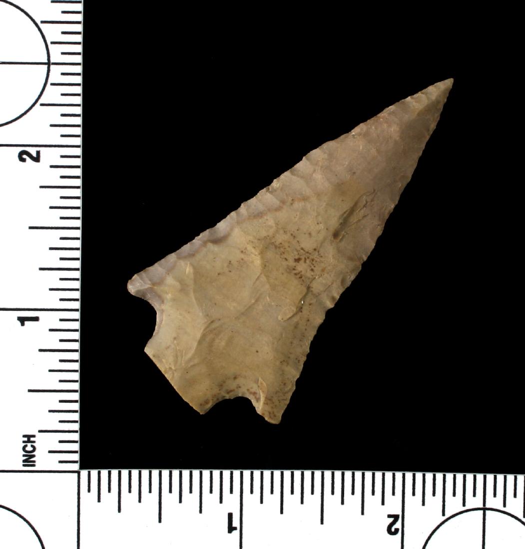 2 1/2" Ledbetter (1 of 2)