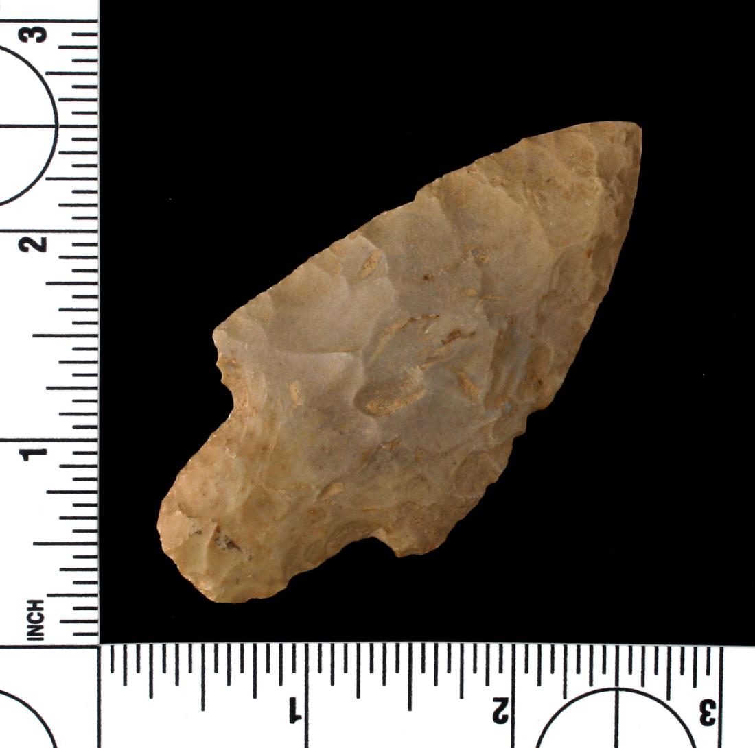 3 1/8" Adena. (1 of 2)