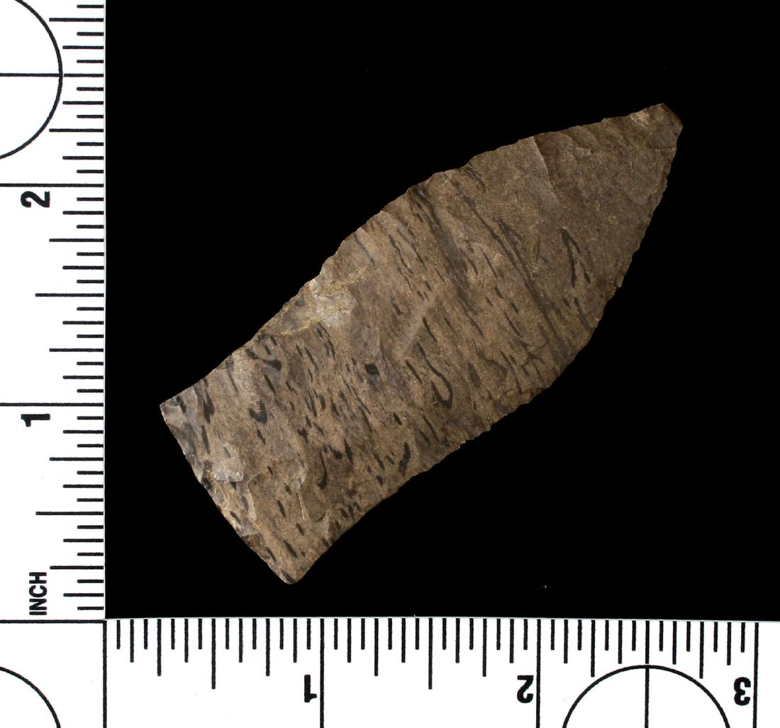 2 3/4" Copena (1 of 2)