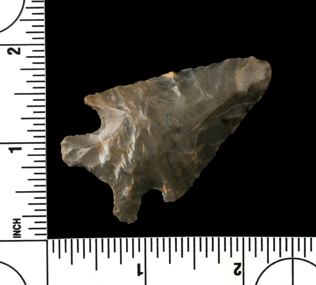 2 1/4" MacCorkle (1 of 2)