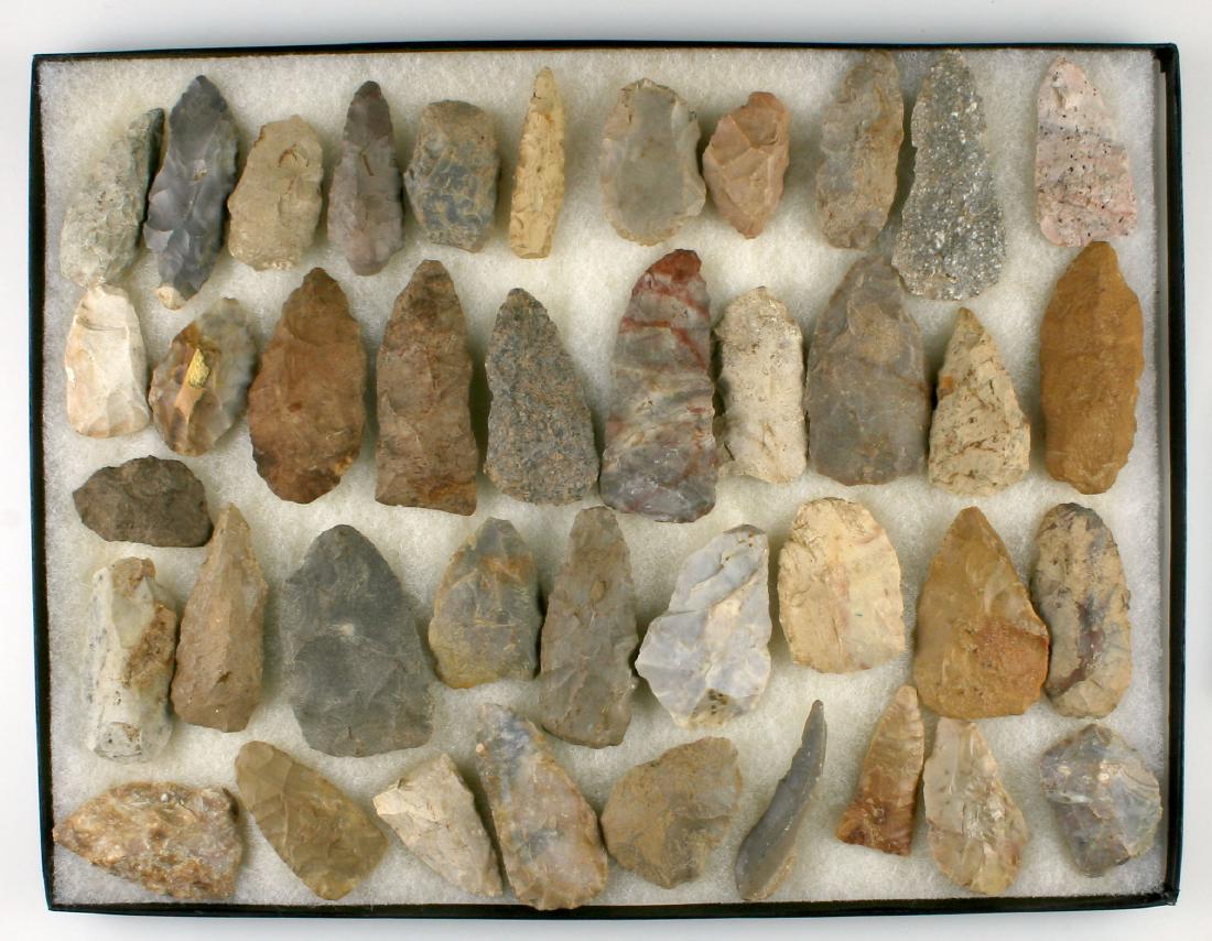 Display of 40 Flint Blades (1 of 1)