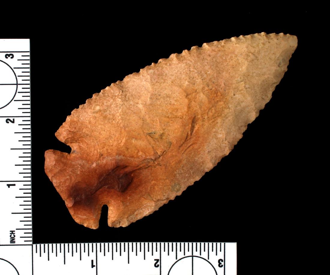 4 7/16" Reproduction Dovetail (1 of 2)