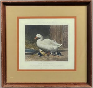 1854 Etching by John Frederick Herring, Sr. DUCK AND DUCKLINGS