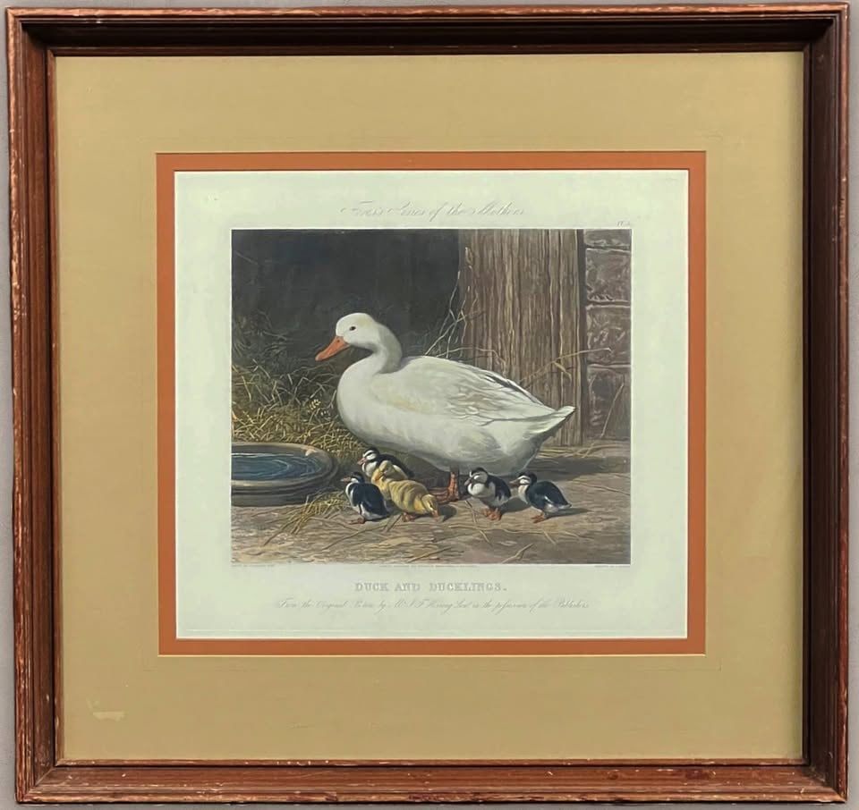 1854 Etching by John Frederick Herring, Sr. DUCK AND DUCKLINGS (1 of 8)