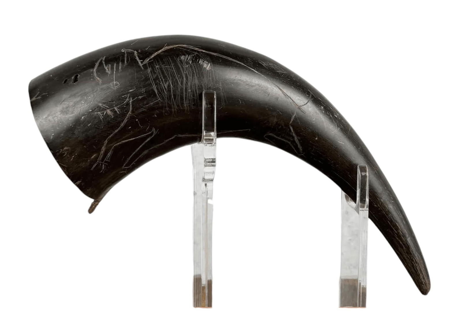 Rare Antique Native American Indian Buffalo Horn Ceremonial Drinking Vessel (1 of 7)