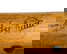 item-208362213=1