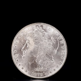 USA Morgan Dollar 1879 Coin