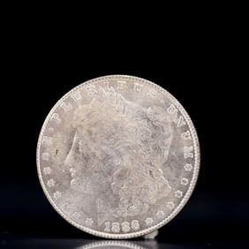 USA Morgan Dollar 1886 Coin