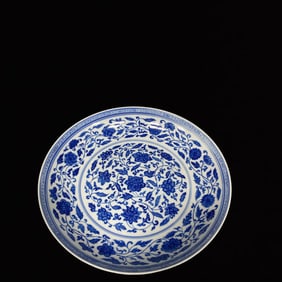 An Exquisite Blue and White Lotus Pattern Plate