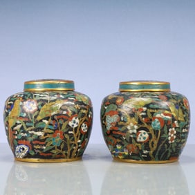 A Exquisite A pair of Cloisonne Flower and Bird Pattern Jar
