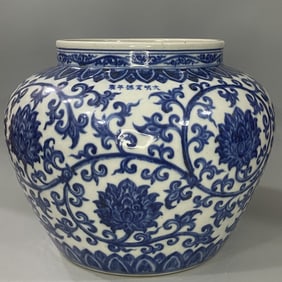 An Exquisite Blue and White Lotus Pattern Jar