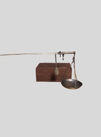A Rare Silver Scale