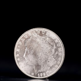 USA Morgan Dollar 1921 Coin
