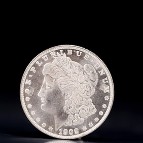 USA Morgan Dollar 1902 Coin