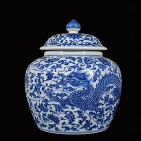 An Exquisite Blue and White Lotus and Dragon Pattern Tea Caddy