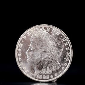USA Morgan Dollar 1889 Coin