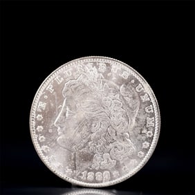 USA Morgan Dollar 1889 Coin
