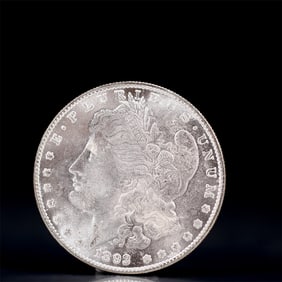 USA Morgan Dollar 1893 Coin