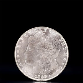 USA Morgan Dollar 1886 Coin