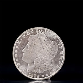 USA Morgan Dollar 1899 Coin