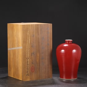 An Exquisite Coral Red Glazed Dragon Pattern Vase