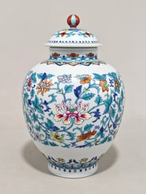 An Exquisite Doucai Lotus Pattern Jar