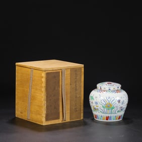 An Exquisite Doucai Mandarin Duck and Algae Pattern Jar,With Cover