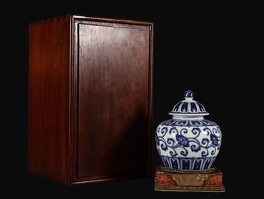 A Rare Blue and White Ganoderma pattern Jar