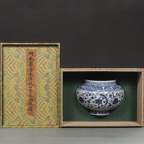An Exquisite Blue and White Lotus Pattern Jar